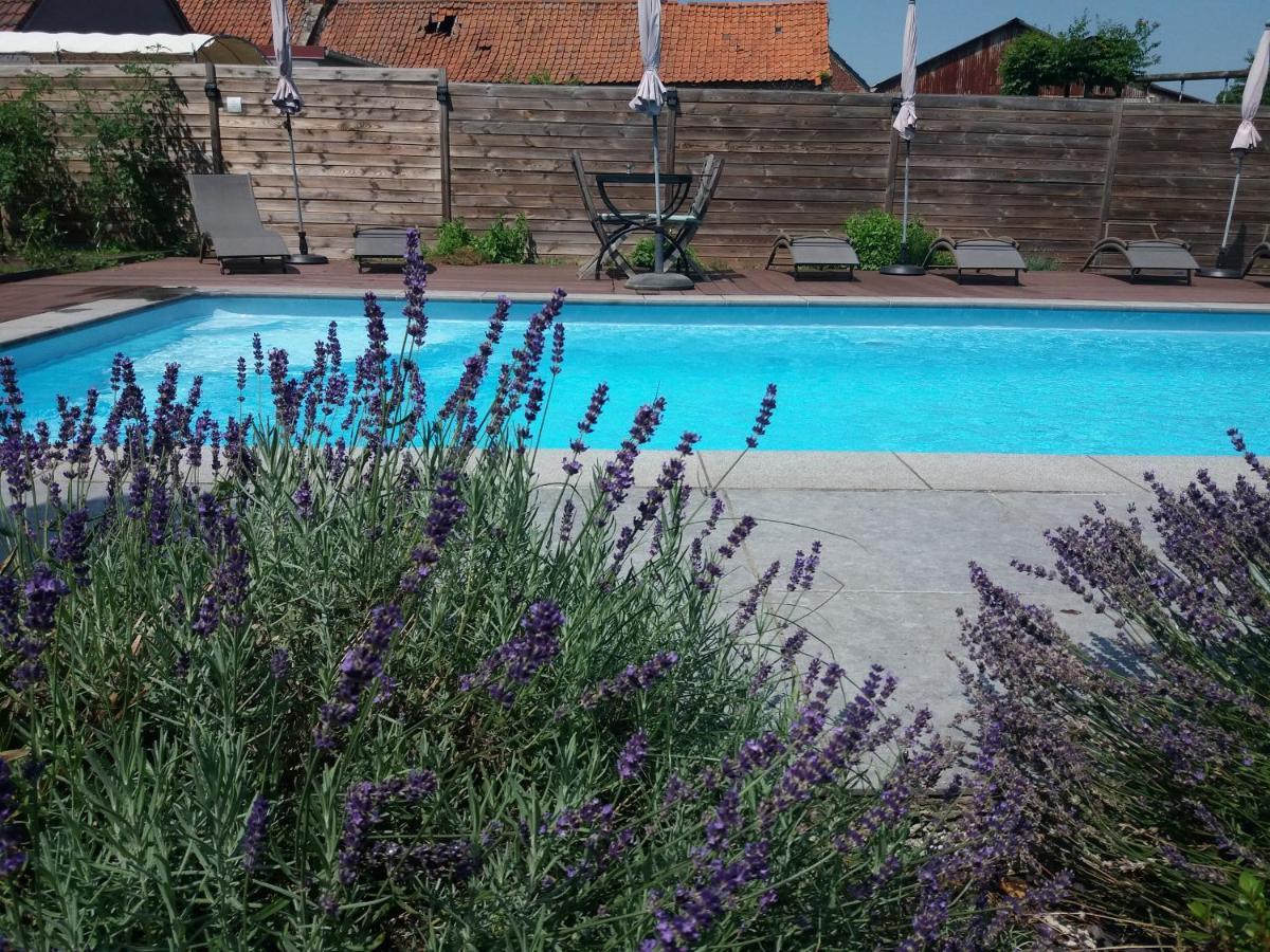 Chambres D Hotes ,Hotel ,Secret D'Une Nuit A Vicq Pres De Onnaing,Avec Piscine Екстер'єр фото